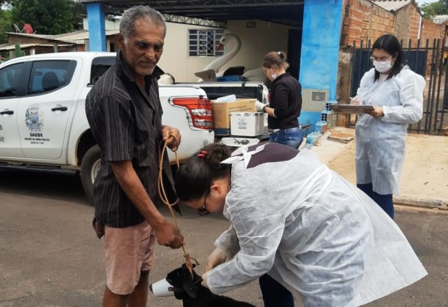 COLETA DE SANGUE PARA TESTAGEM DE CÃES E VACINAÇÃO ANTIRRÁBICA.